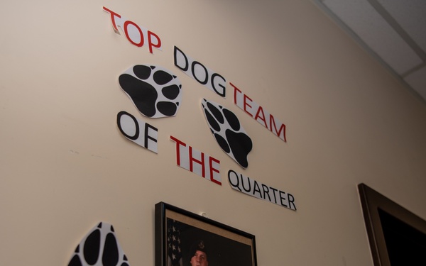 Partners in crime... prevention