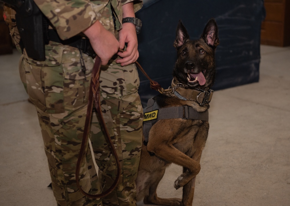 Partners in crime... prevention