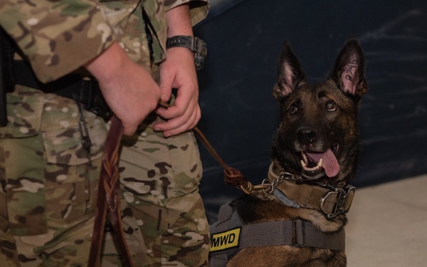 Partners in crime... prevention