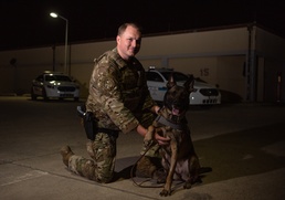 Partners in crime... prevention