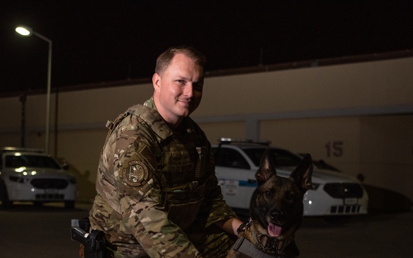 Partners in crime... prevention