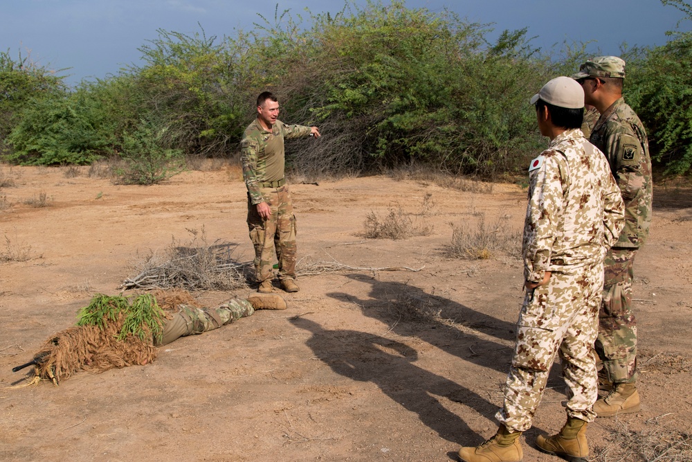 U.S., Japanese service members train on sniper tactics