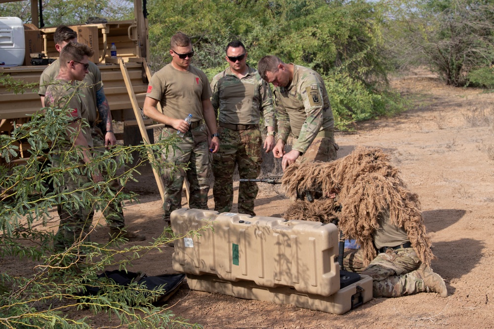 U.S., Japanese service members train on sniper tactics