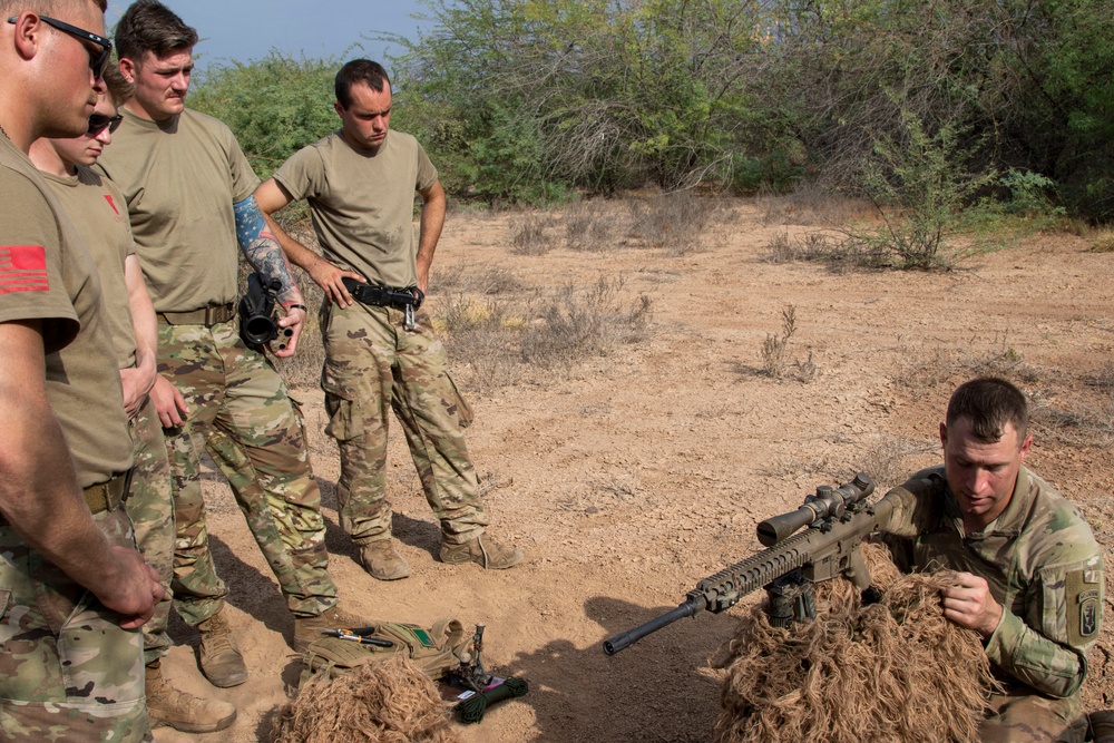 U.S., Japanese service members train on sniper tactics