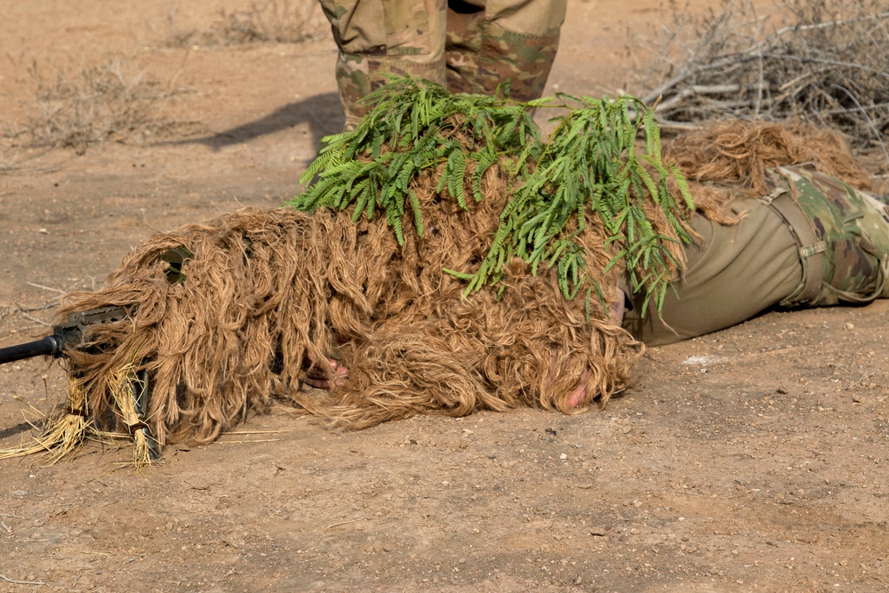 U.S., Japanese service members train on sniper tactics