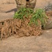 U.S., Japanese service members train on sniper tactics