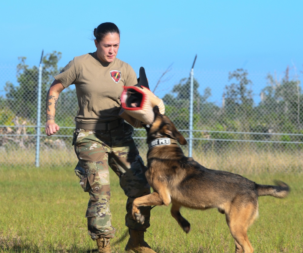 Tyndall honors Defenders with Police Week