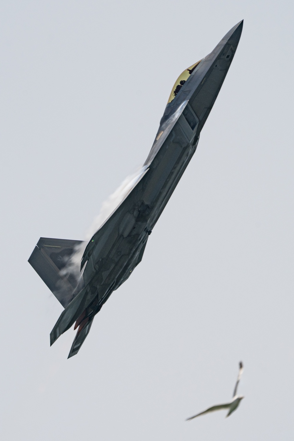 Atlantic City Airshow