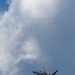 Thunder Over New Hampshire Airshow