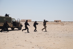 U.S. Special Forces Military Free Fall with Egyptian Airborne Forces for First Time