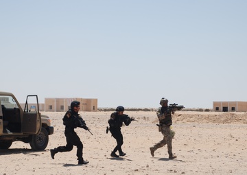 U.S. Special Forces Military Free Fall with Egyptian Airborne Forces for First Time