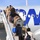 Majority of evacuees depart Ramstein, head to US