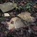 Cemetery found after years of searching, family member visits for first time in over 60 years