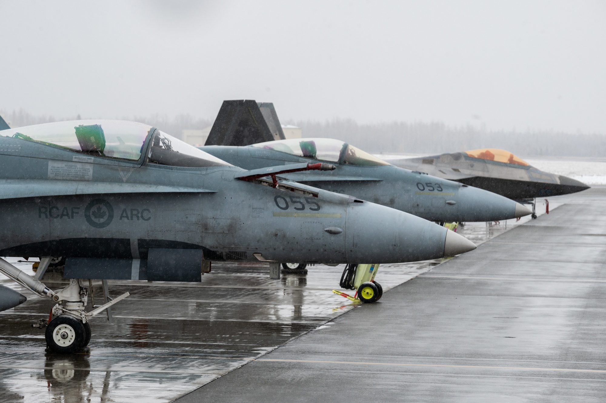 Images - Royal Canadian Air Force RCAF-188 Hornets and  - DVIDS