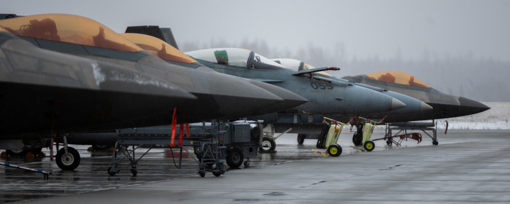 DVIDS - Images - Royal Canadian Air Force RCAF-188 Hornets