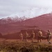 Alaska Air National Guard’s 212th Rescue Squadron conducts full mission profile exercise at JBER