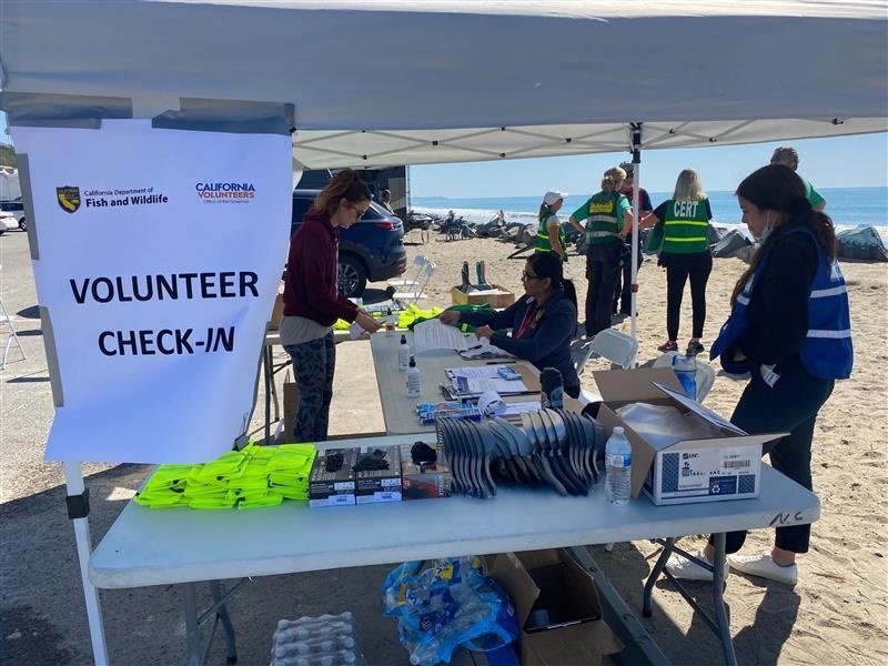 Volunteers assist with oil spill cleanup at Doheny State Beach
