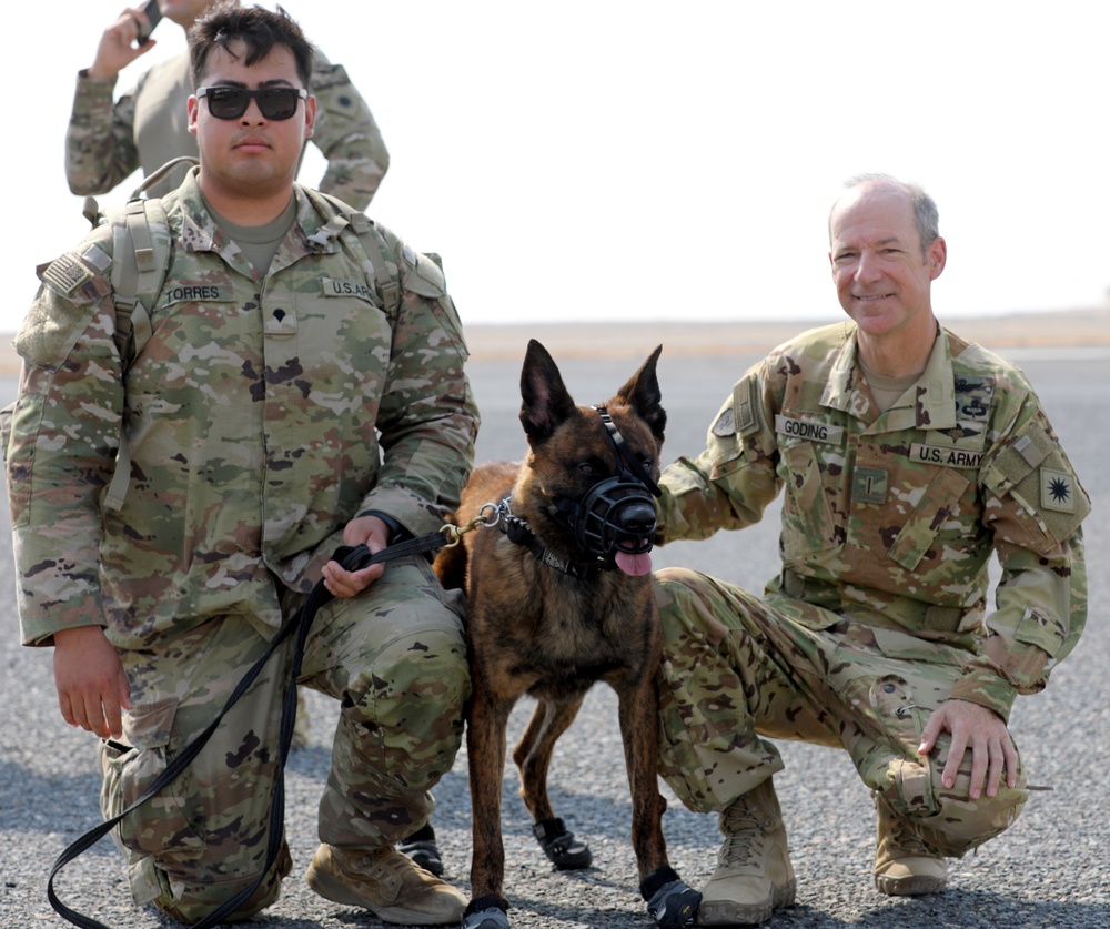 Military Police conduct K9 hot/cold load training at Camp Buehring