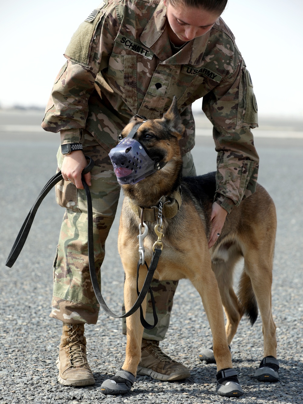 Military Police conduct K9 hot/cold load training at Camp Buehring