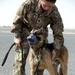 Military Police conduct K9 hot/cold load training at Camp Buehring