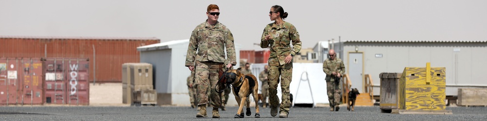 Military Police conduct K9 hot/cold load training at Camp Buehring