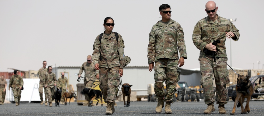 Military Police conduct K9 hot/cold load training at Camp Buehring