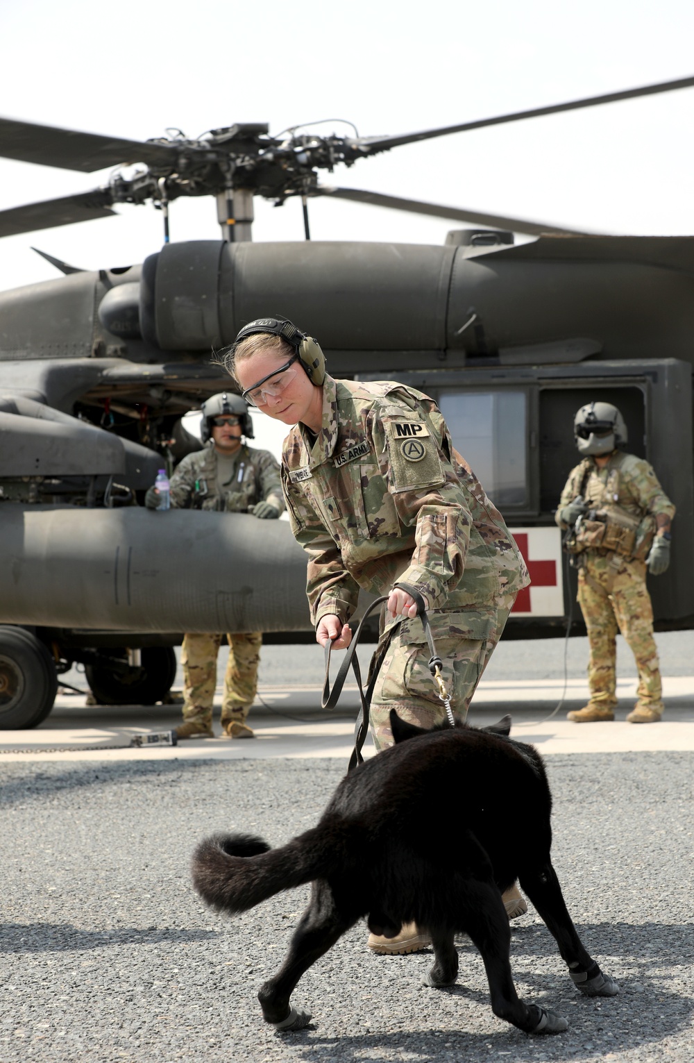 Military Police conduct K9 hot/cold load training at Camp Buehring