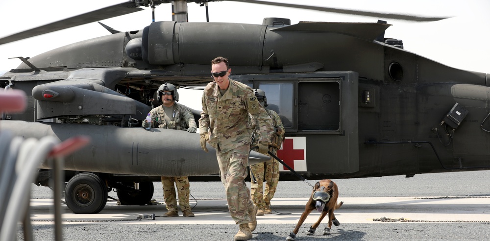 Military Police conduct K9 hot/cold load training at Camp Buehring