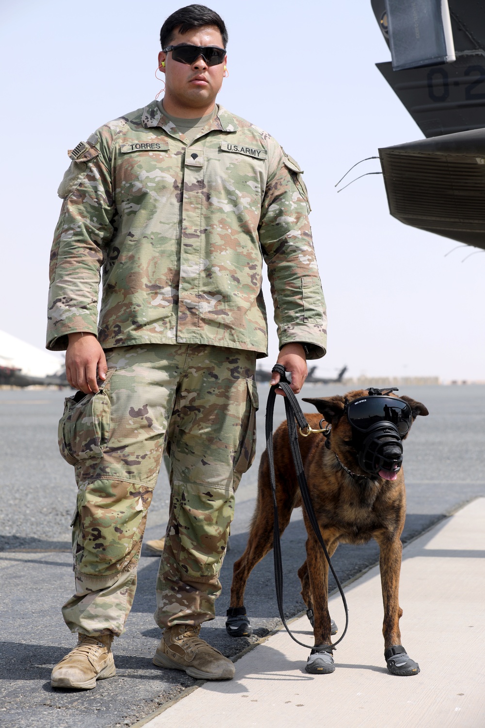 Military Police conduct K9 hot/cold load training at Camp Buehring