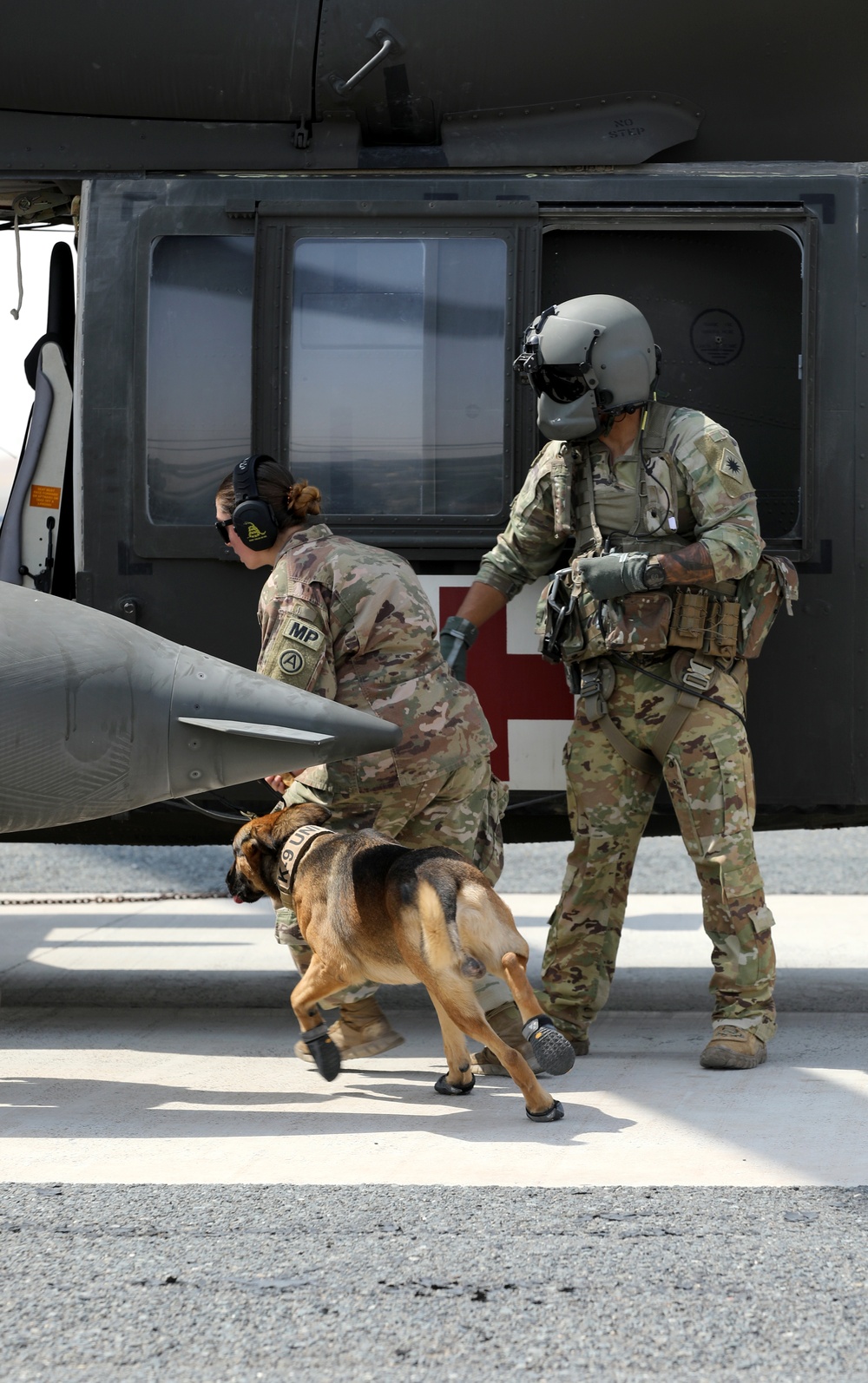 Military Police conduct K9 hot/cold load training at Camp Buehring