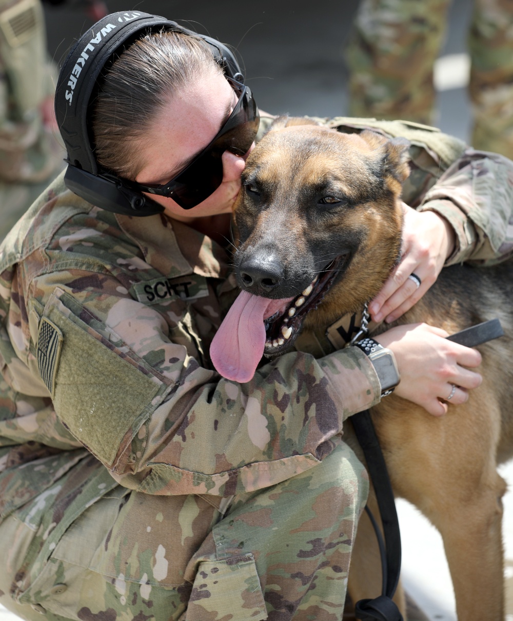 Military Police conduct K9 hot/cold load training at Camp Buehring