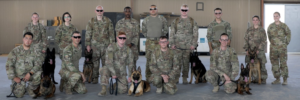 Military Police conduct K9 hot/cold load training at Camp Buehring