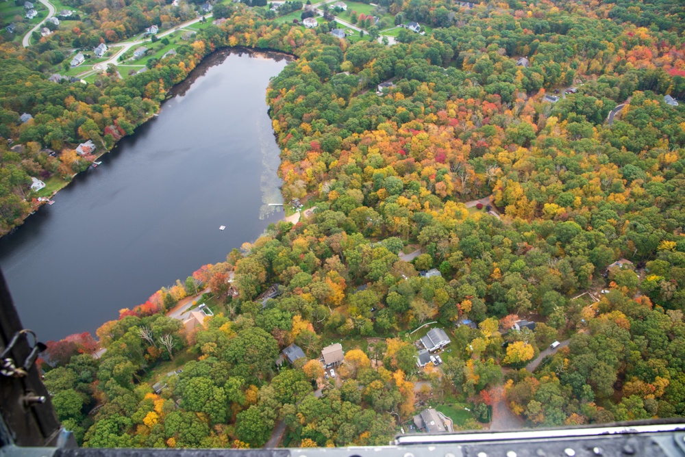 Leaf Peepin'