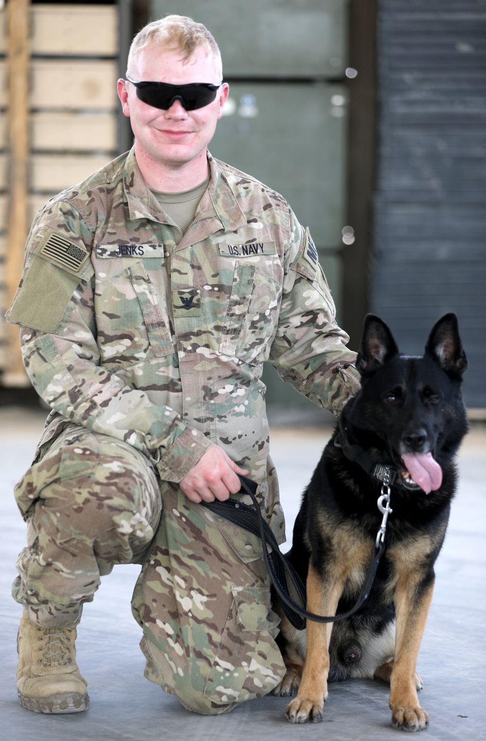 Military Working Dogs get their portraits taken after training at Camp Buehring