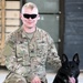 Military Working Dogs get their portraits taken after training at Camp Buehring