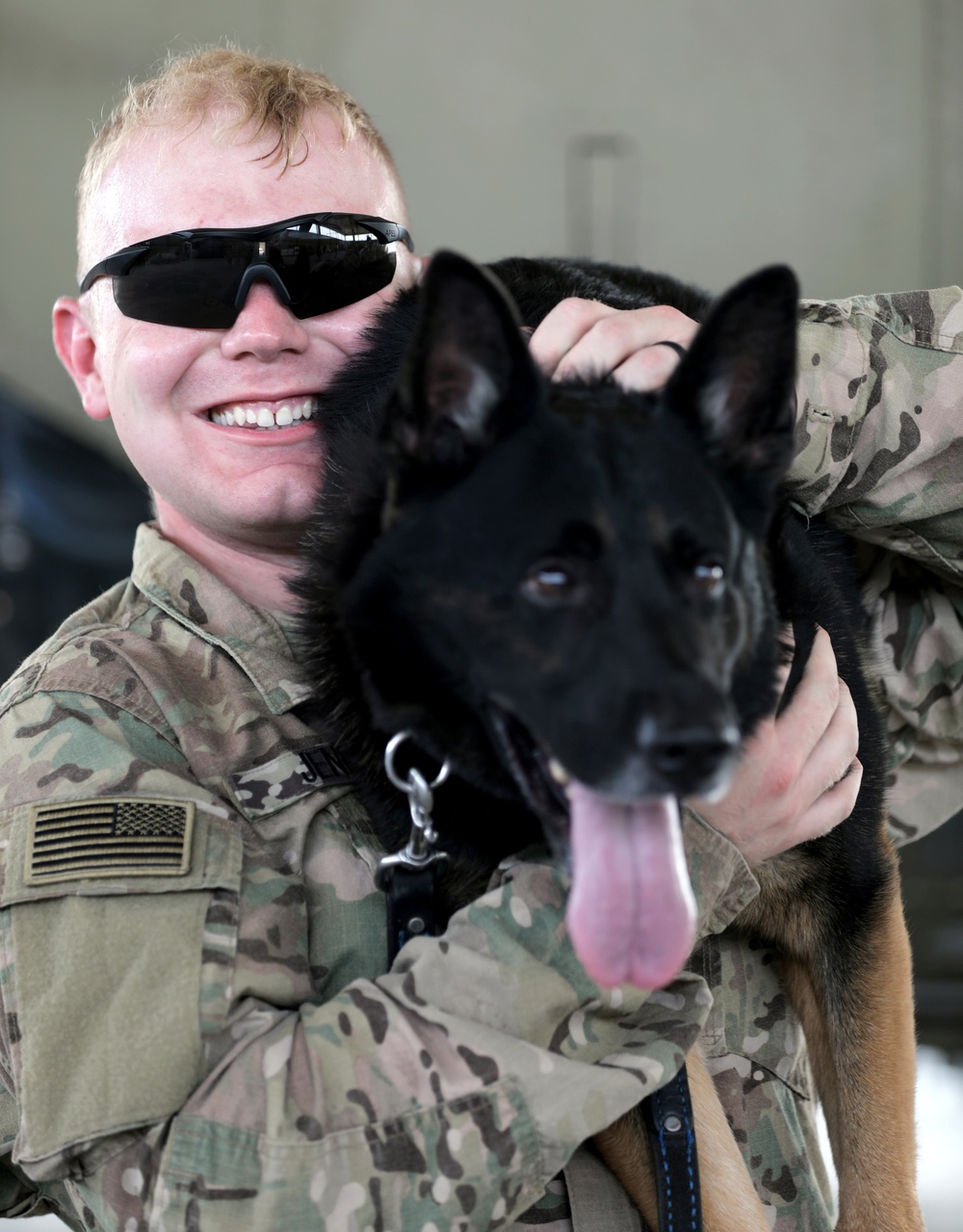 Military Working Dogs get their portraits taken after training at Camp Buehring