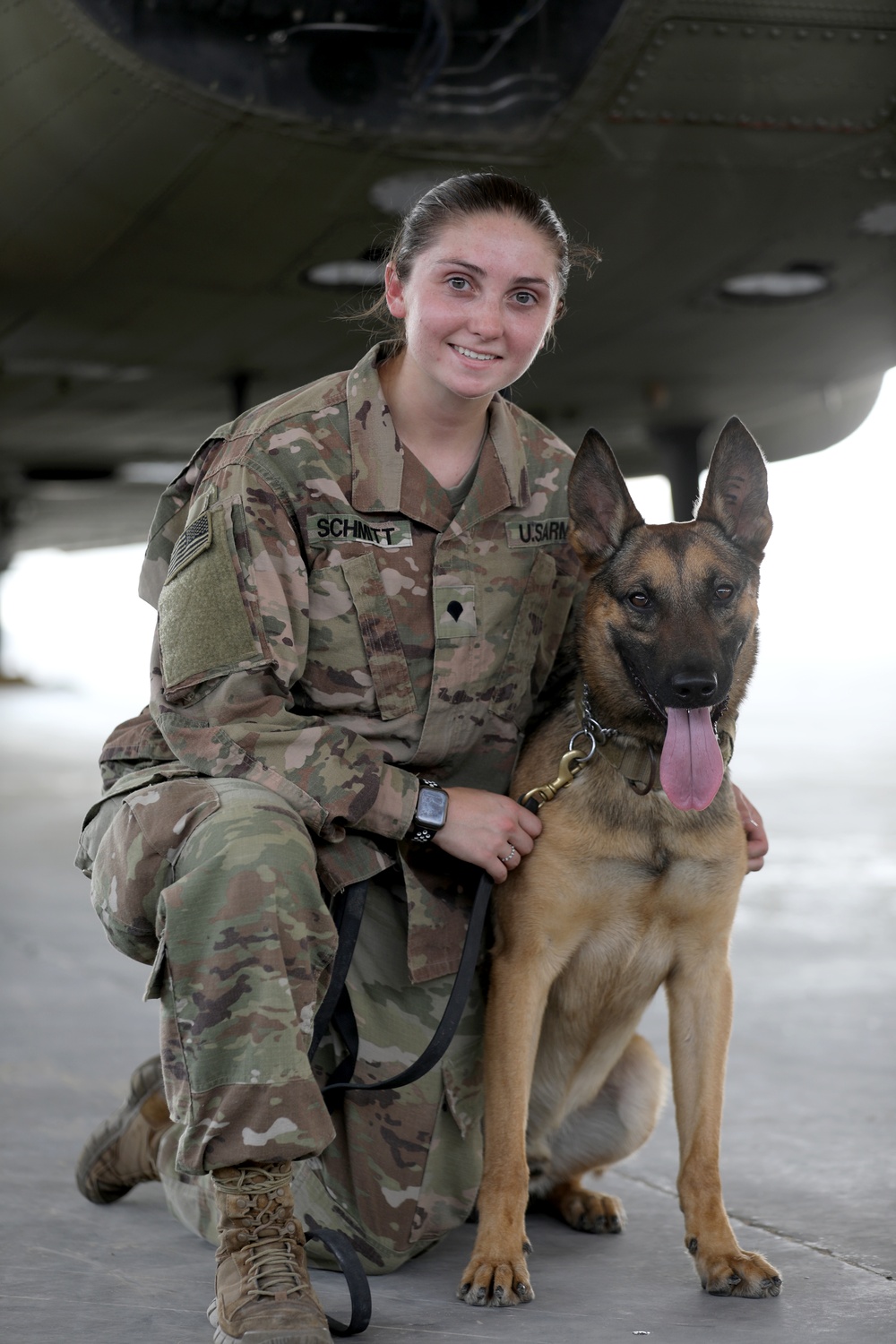 Military Working Dogs get their portraits taken after training at Camp Buehring