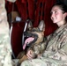 Military Working Dogs get their portraits taken after training at Camp Buehring