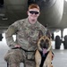 Military Working Dogs get their portraits taken after training at Camp Buehring