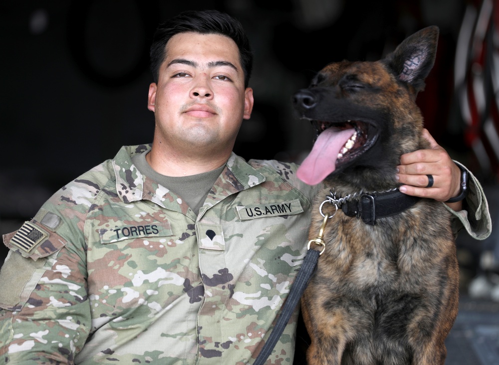 Military Working Dogs get their portraits taken after training at Camp Buehring