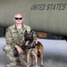 Military Working Dogs get their portraits taken after training at Camp Buehring