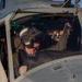 HMLA-775 flies over Camp Pendleton