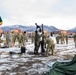 Spartans and Indian Army troops exchange cold-weather skills techniques
