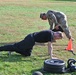 Fort Dix – Public Health Activity / Fort Belvoir, VA