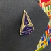 USSF distinguished lapel insignia