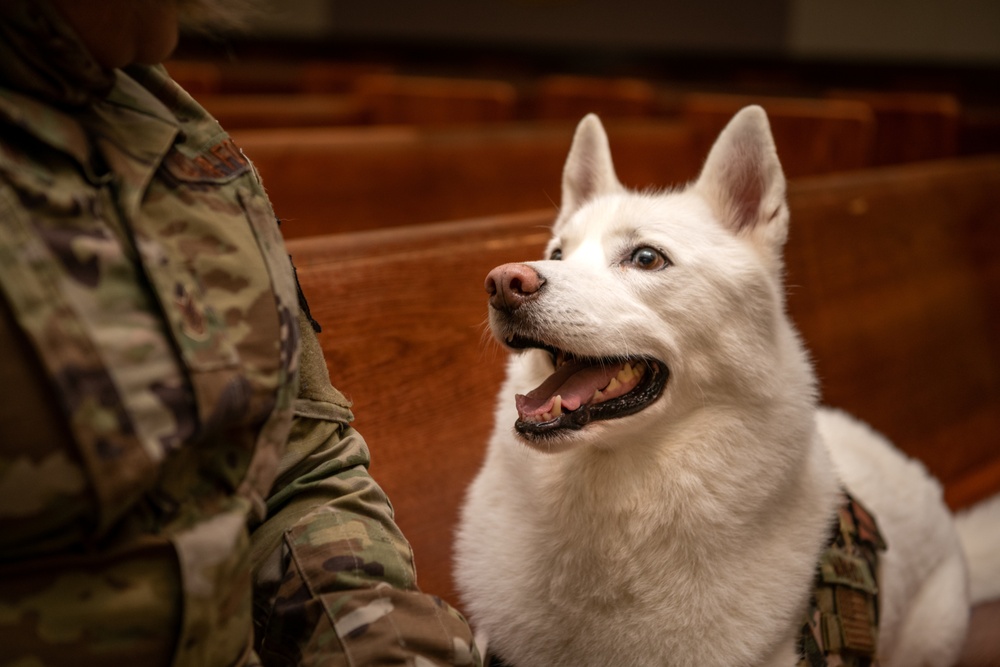 Chapel dog helps connect, comfort people