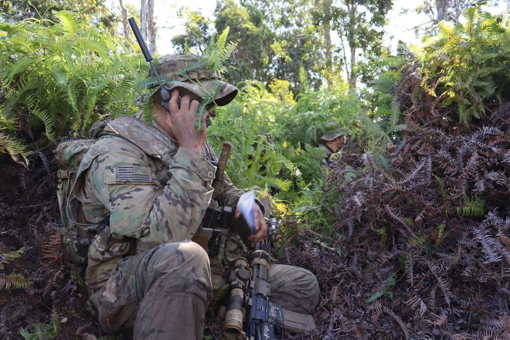 Exercise Lightning Forge: 1st SFG (A) Soldiers identify, assault enemy positions