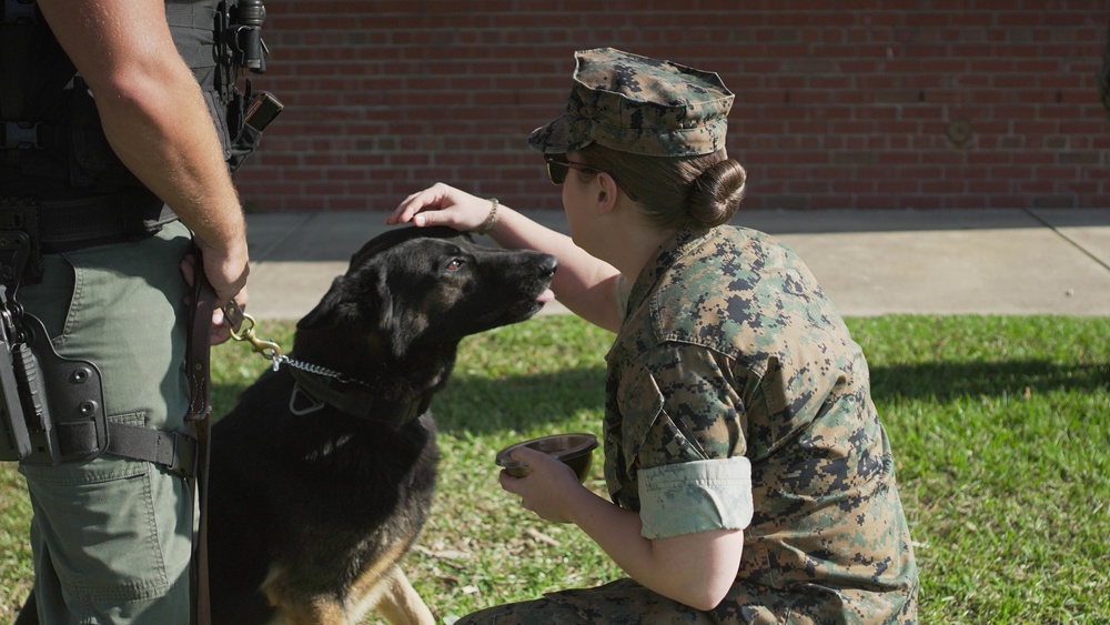 Marine Corps Air Station Cherry Point Blessing of the Animals
