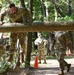 Michigan Soldiers compete in Best Warrior Competition