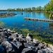 Mosquito Creek Lake to combat invasive aquatic species